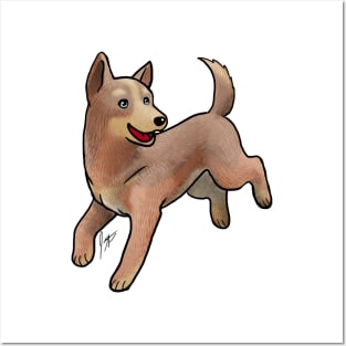 Dog - Australian Cattle Dog - Red Heeler Posters and Art